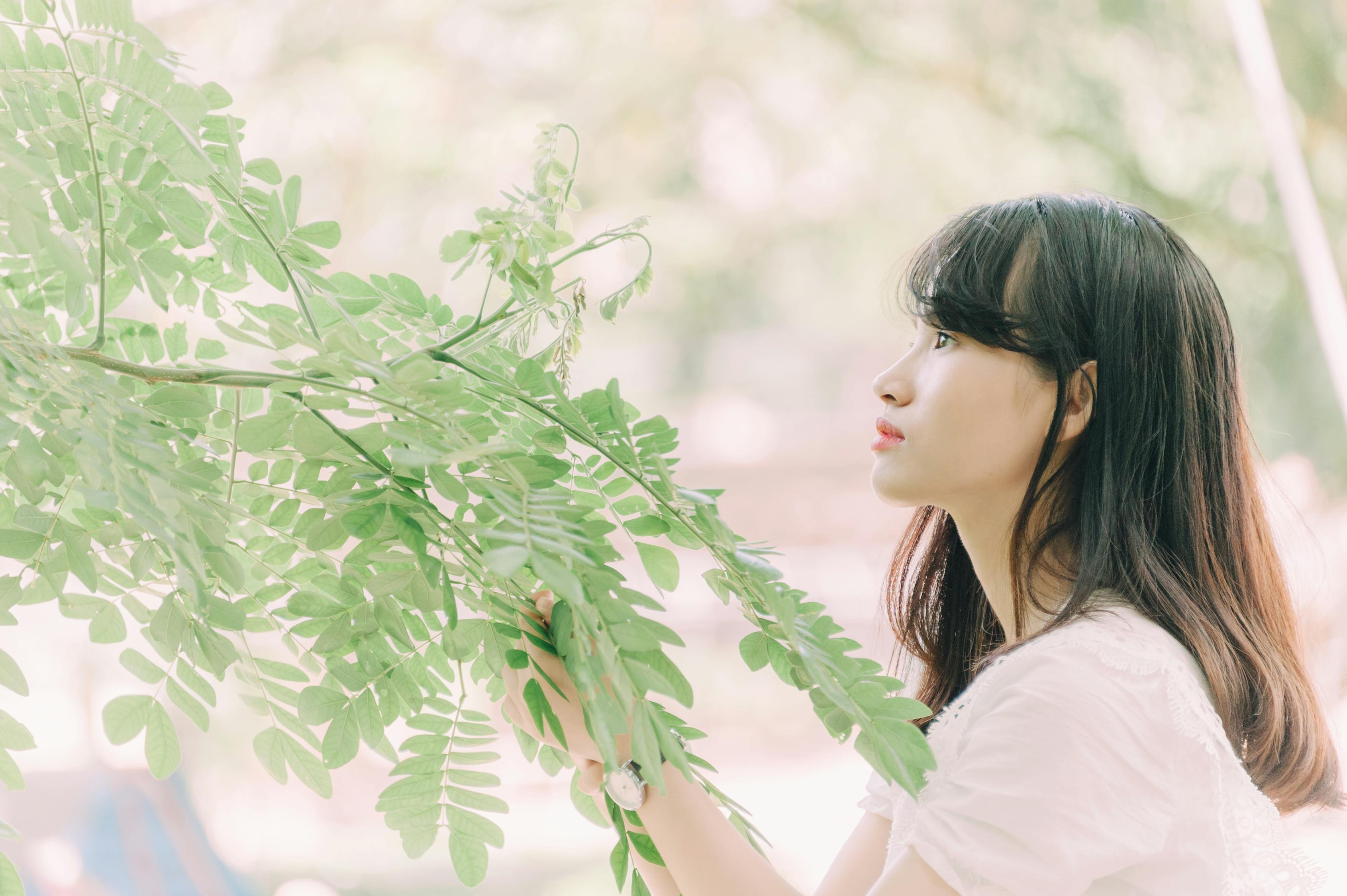 混世桃花运下载（乱世桃花 小说）