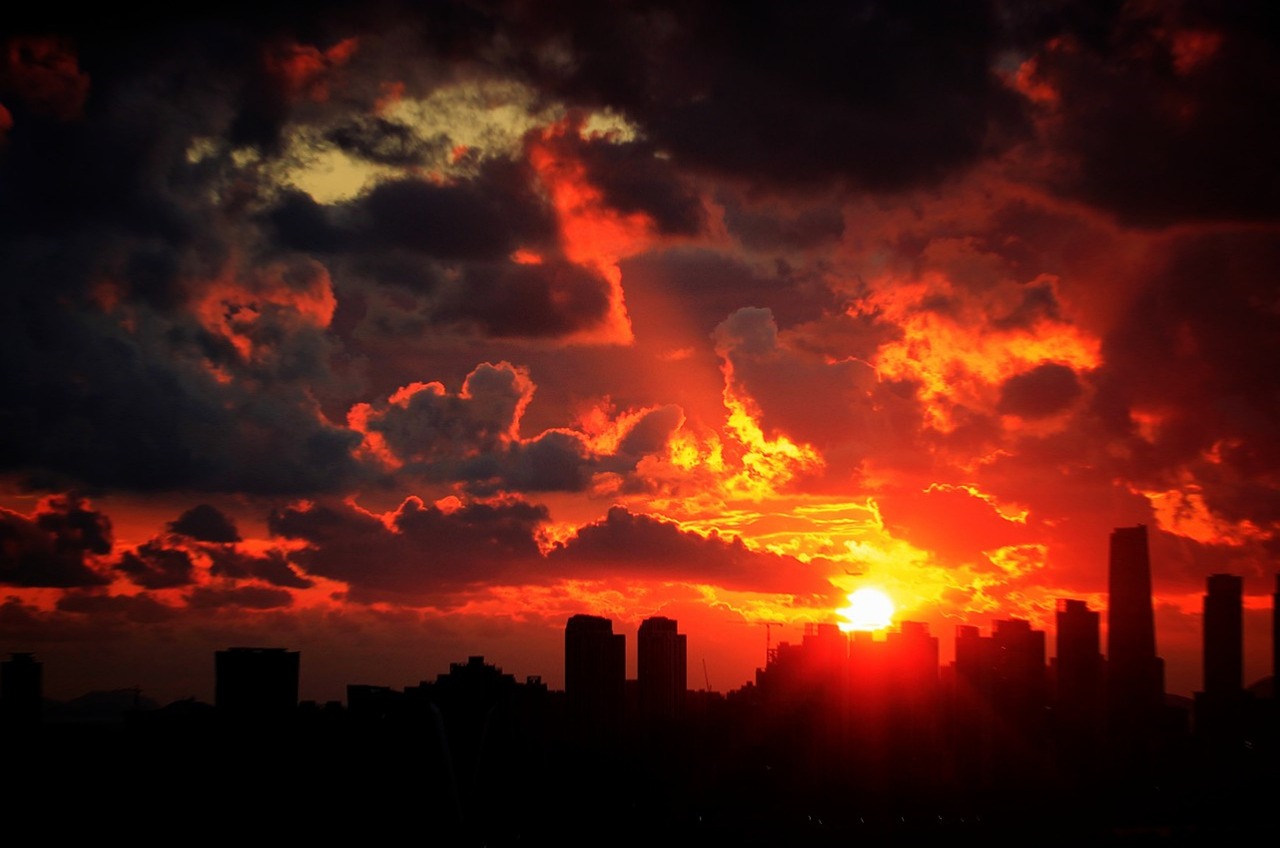 黑榜1（黑榜1TXT）