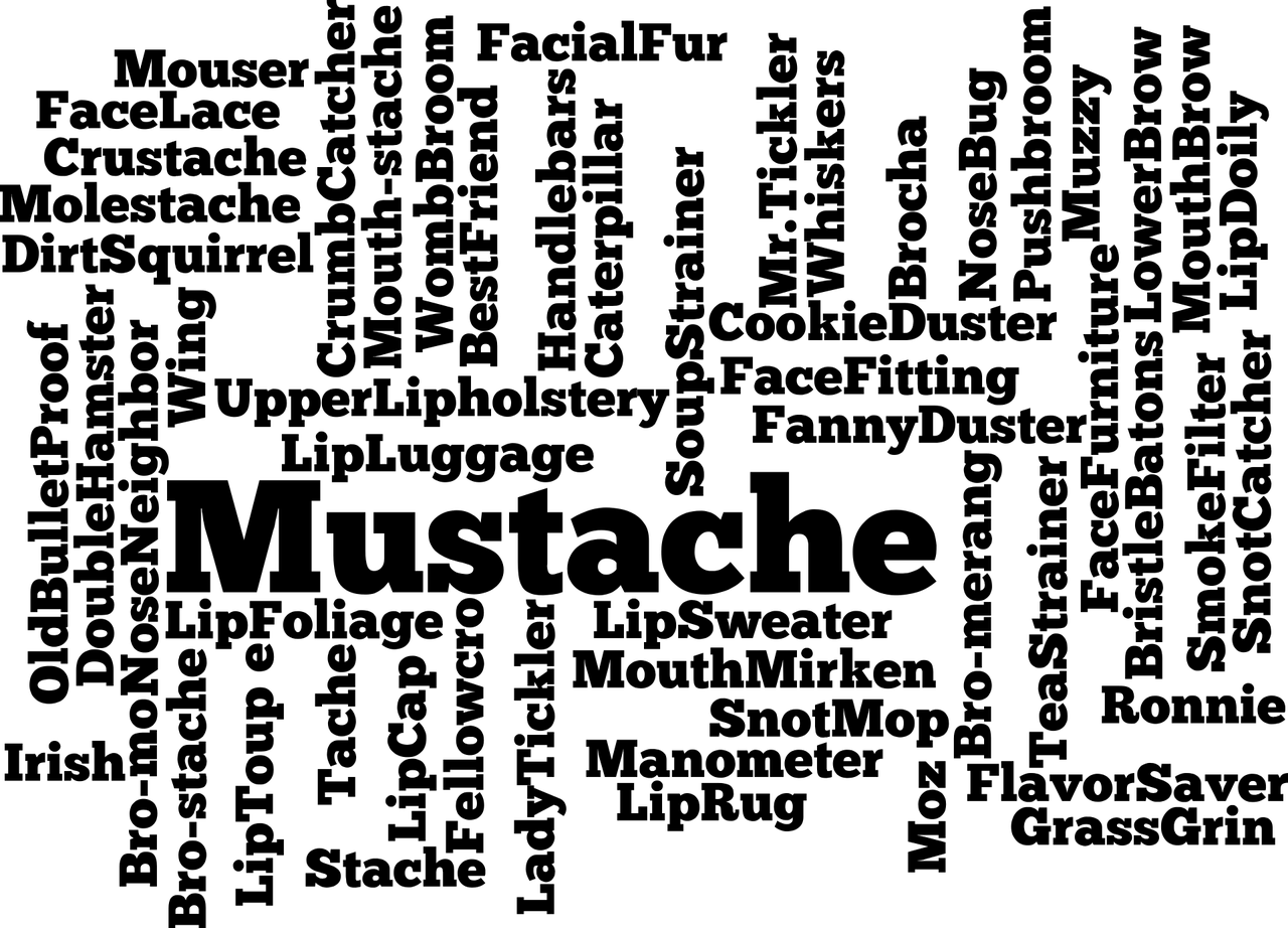 风流男护理txt（风流男子是什么生肖）